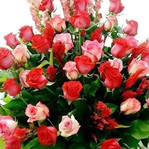 Meet your Posher, Martha